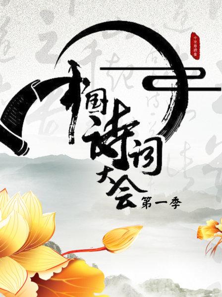《中国诗词大会》第一季 2016